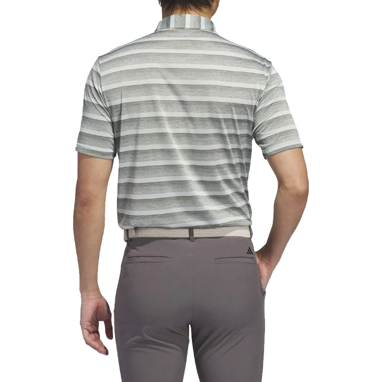 Silver Green/Wonder Silver