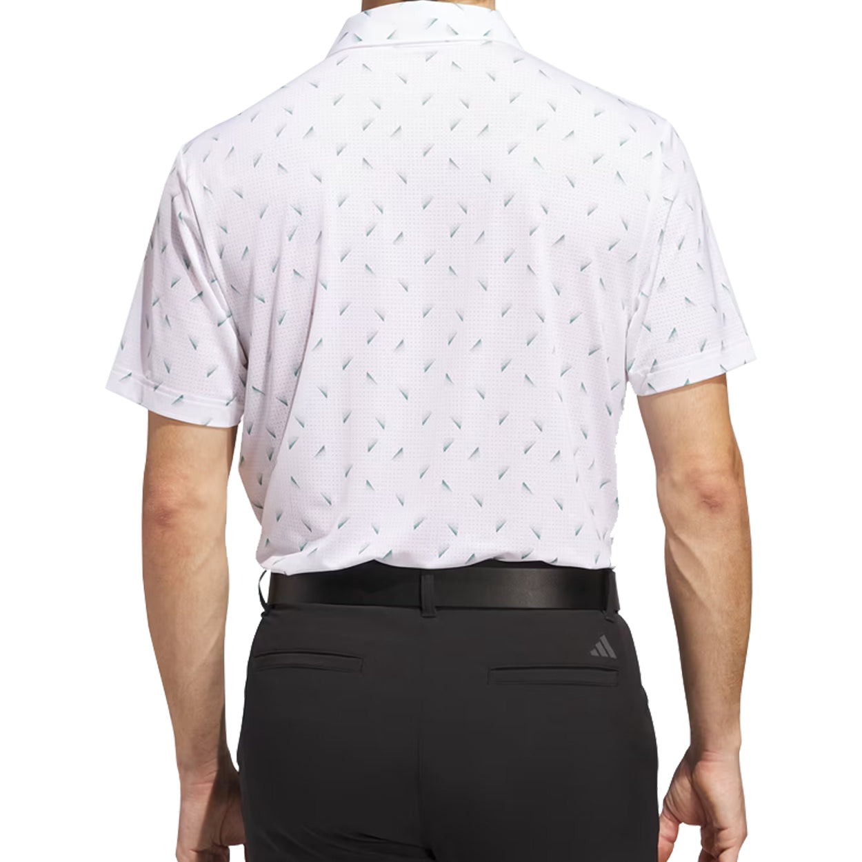 White/Collegiate Green