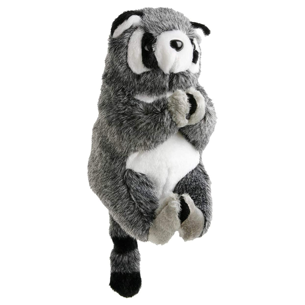 Raccoon