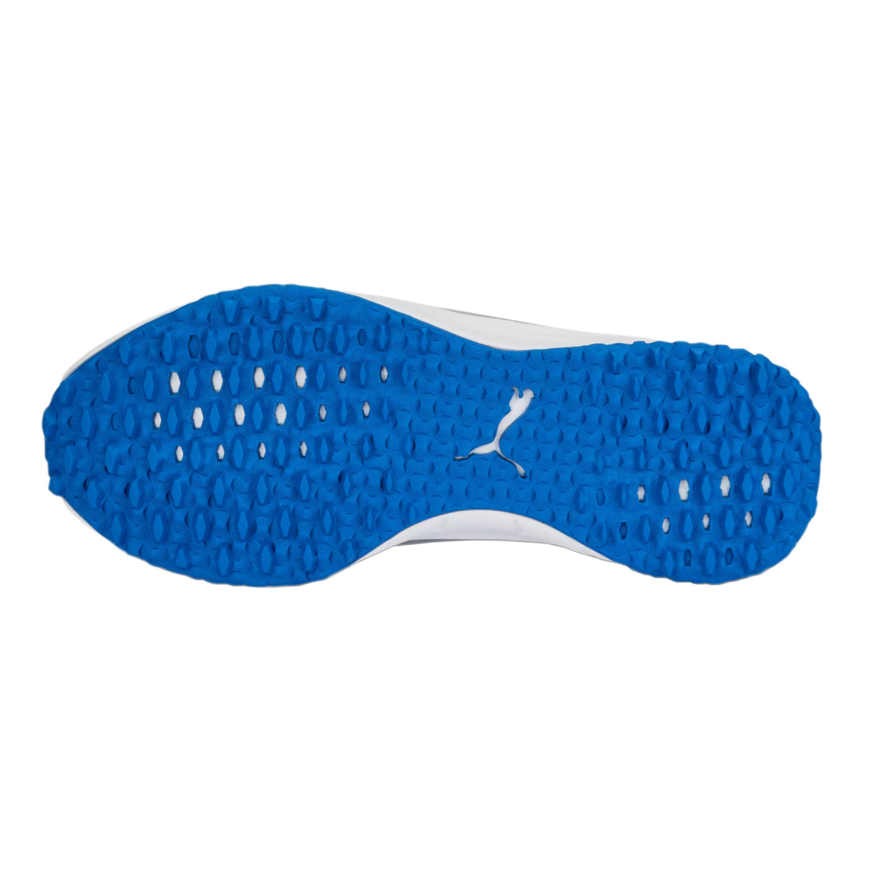 High Rise/Silver/Team Royal