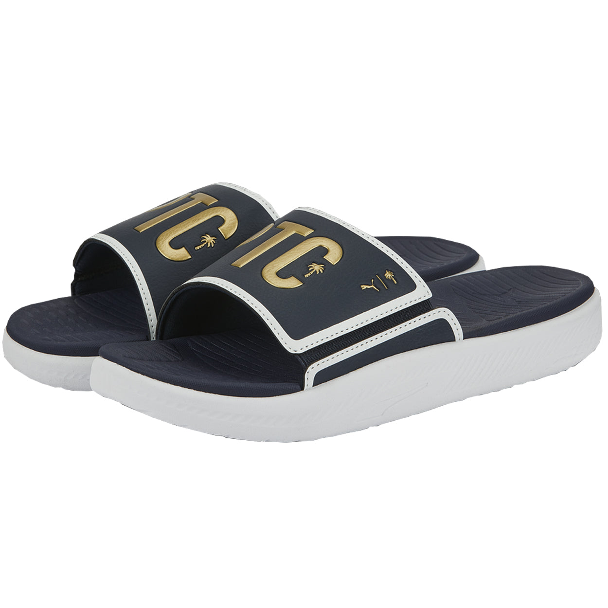 Navy/Gold