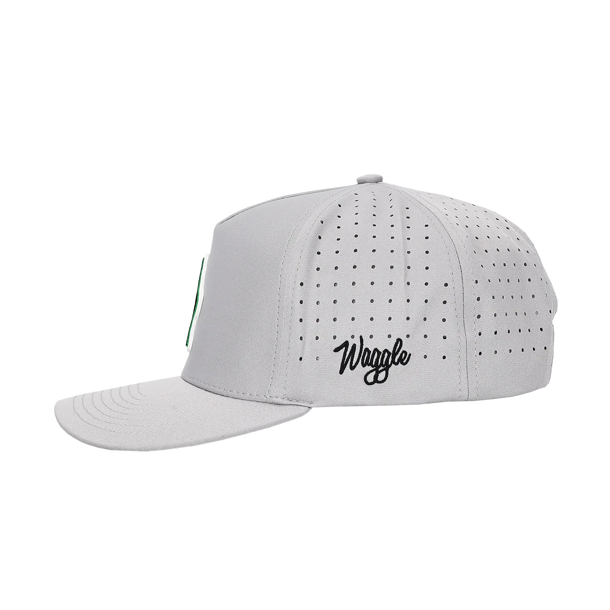 Gray Battle of Parsburg