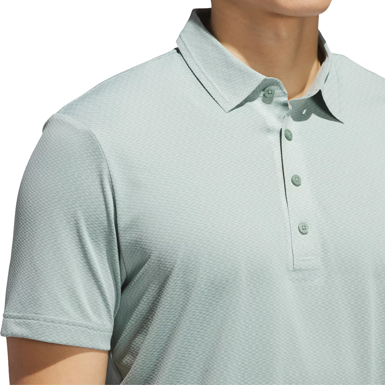 Silver Green