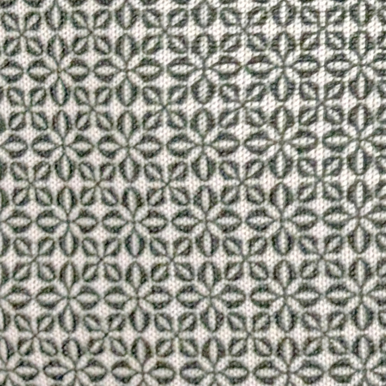 White/Dark Pine