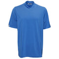 Cobalt Blue