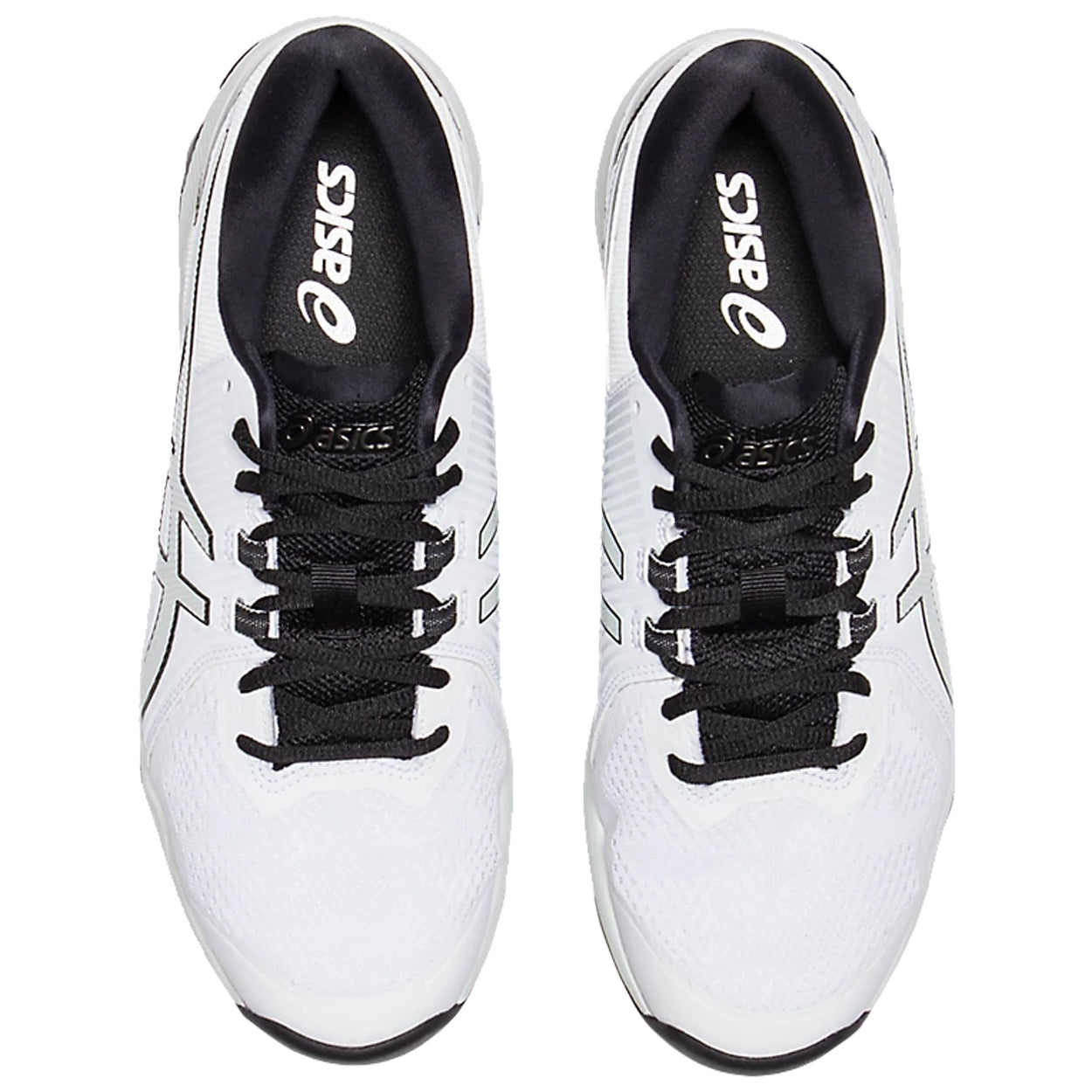White/Polar Shade