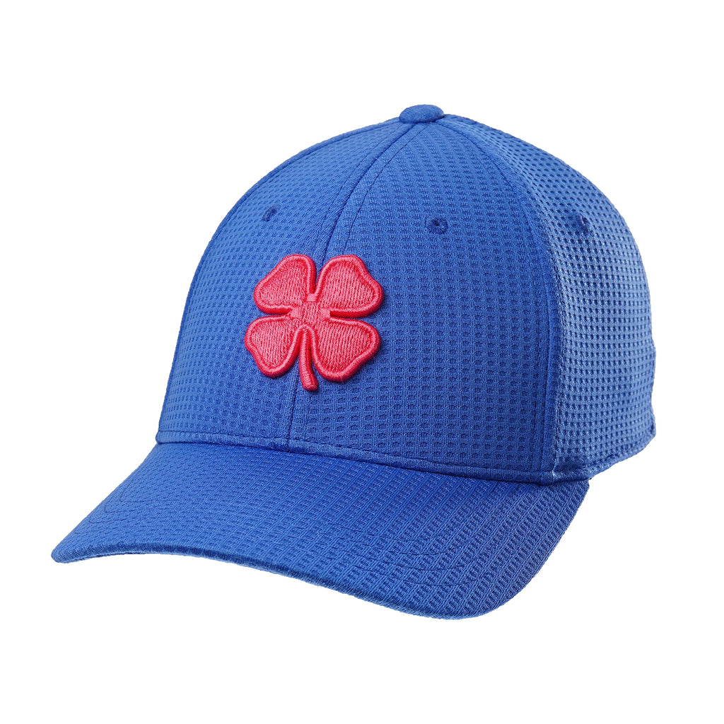 Royal Blue/Pink