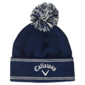 Navy/Silver
