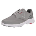 Gray/Red