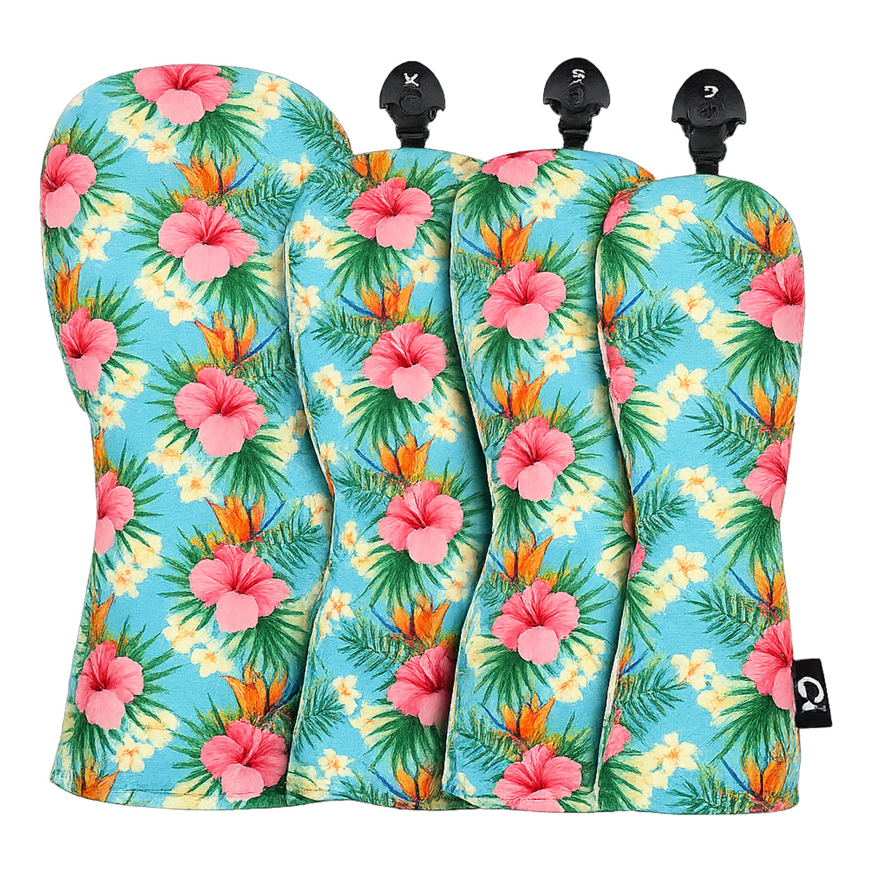 Hawaiian Hibiscus