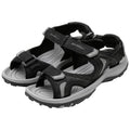 Black/Gray