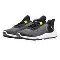 Electric Lime