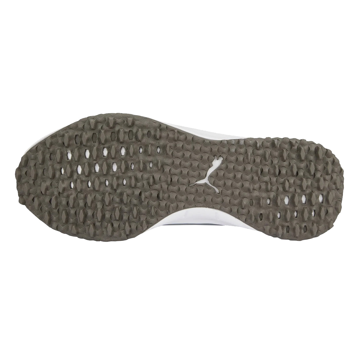 Gray/Silver/Quiet Shade