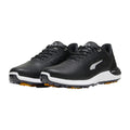 Black/Silver
