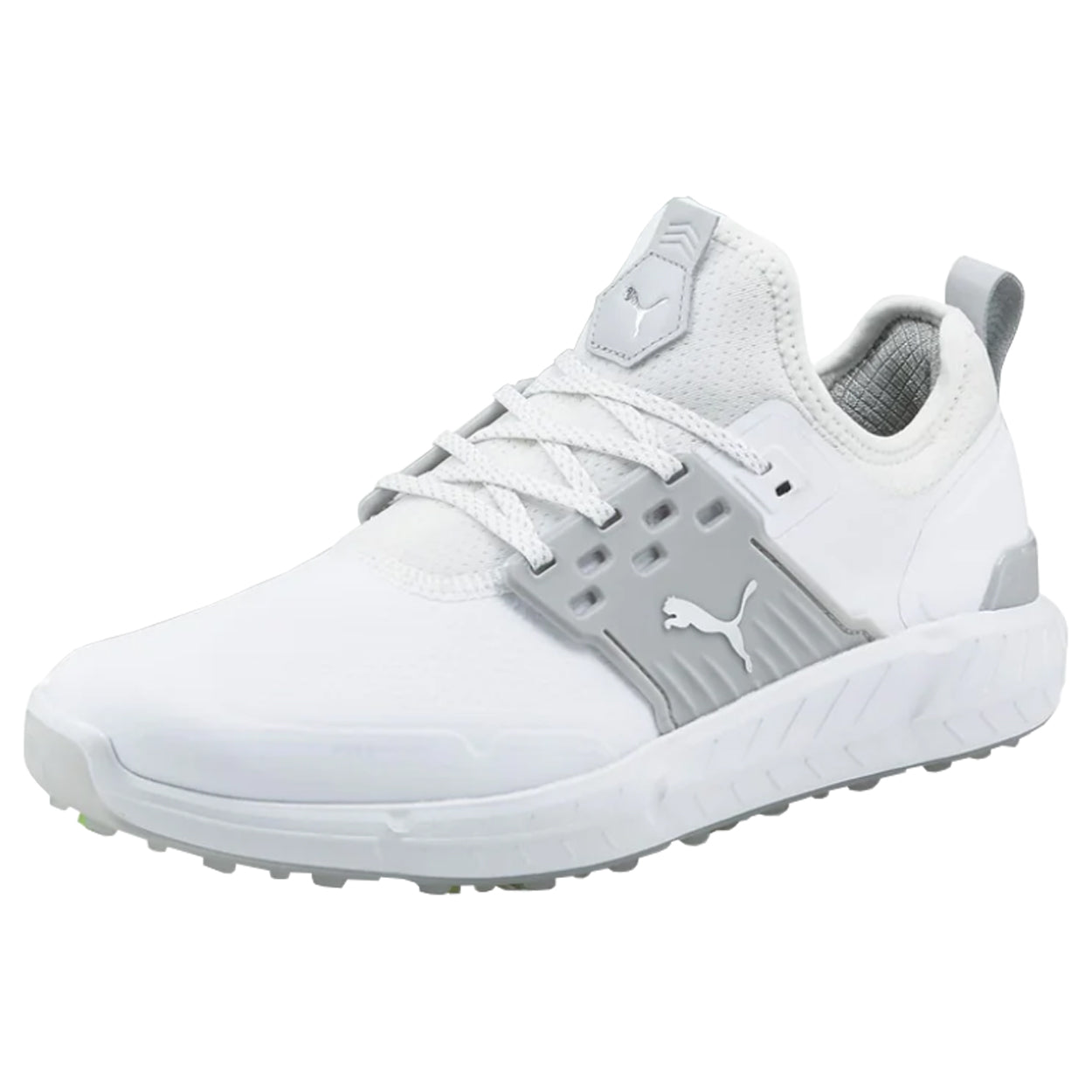 PUMA Men's Ignite Articulate Waterproof Golf Shoe