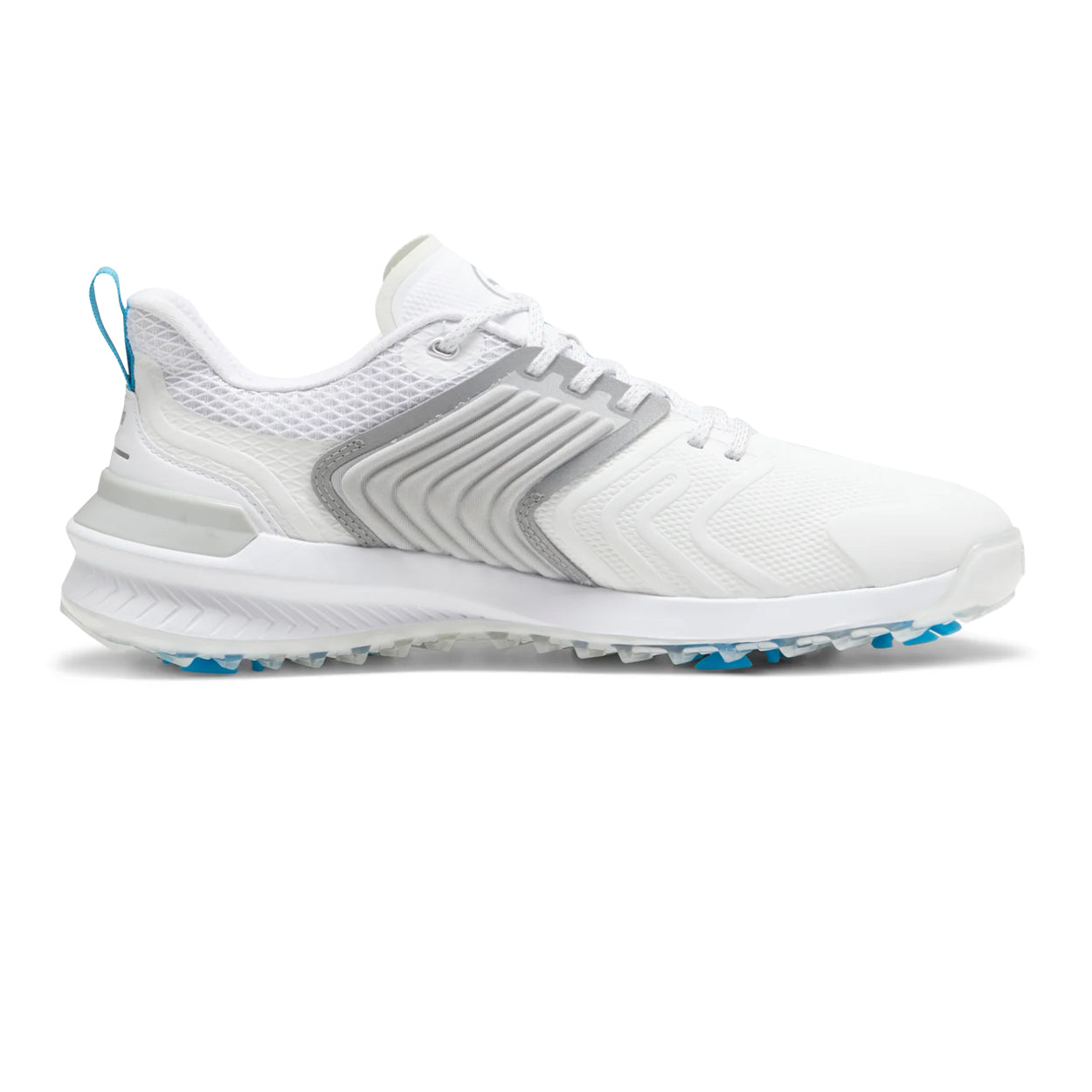 White/Gray