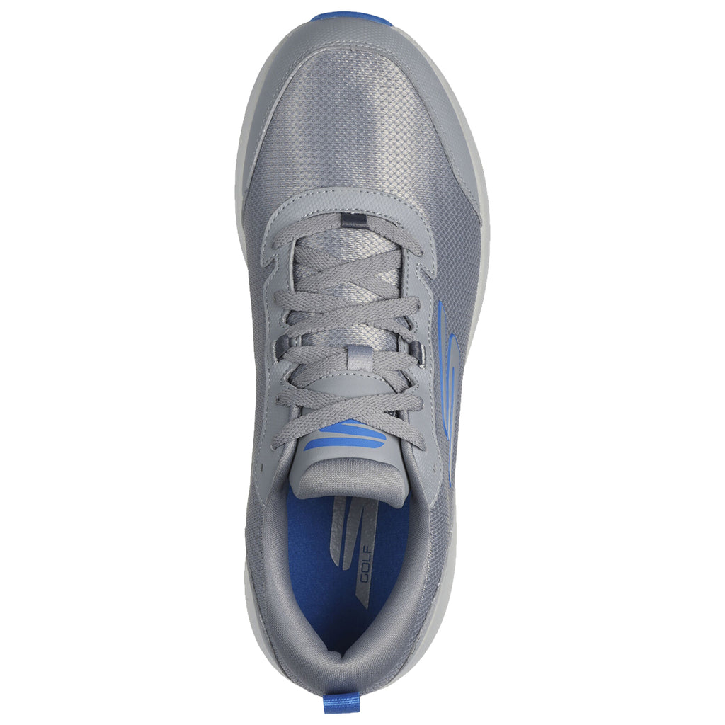 Gray/Blue