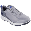 Gray/Blue