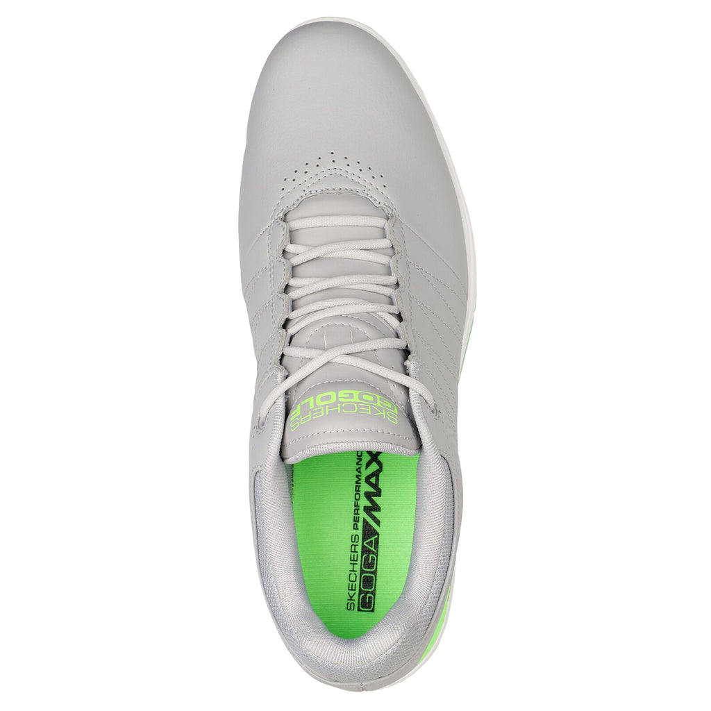Gray/Lime